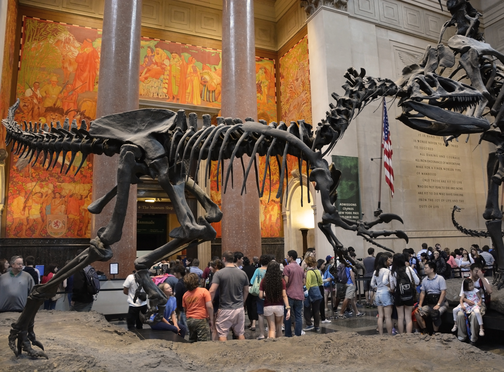 American Museum of Natural History, Dinosaurs, Exhibits, Education